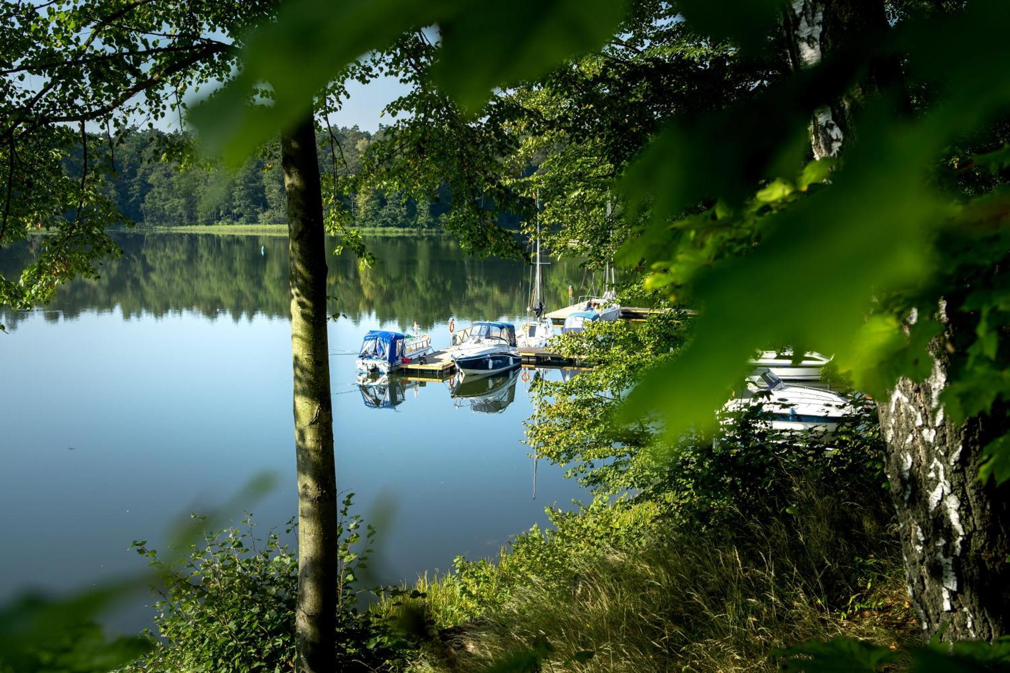 Ruciane Park - Mazury Resort & Spa Room photo
